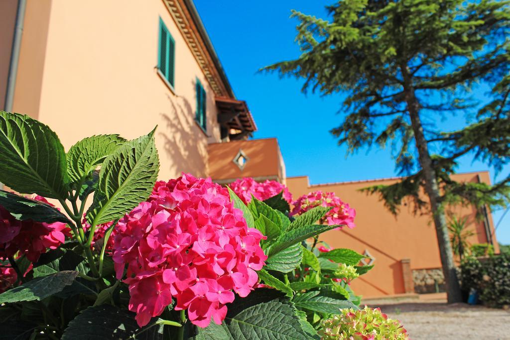 Agriturismo Ferruggini Bolgheri Exterior foto